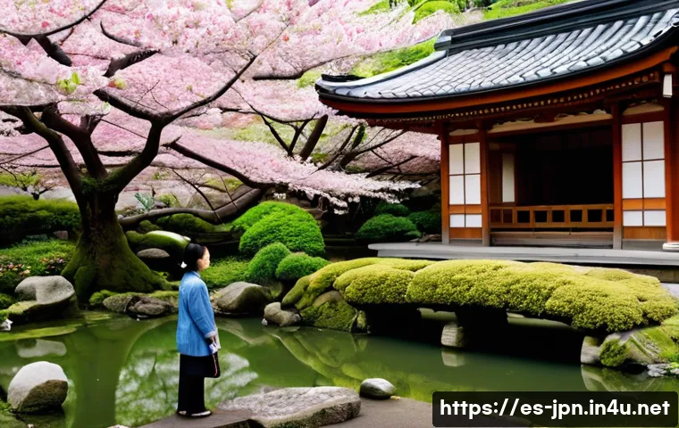 JLPT와 일본어 초급 강의 준비 방법 관련 이미지 2